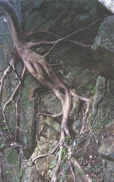 Ausstellung "zwischen uns Fotografie" (Do - Sa)