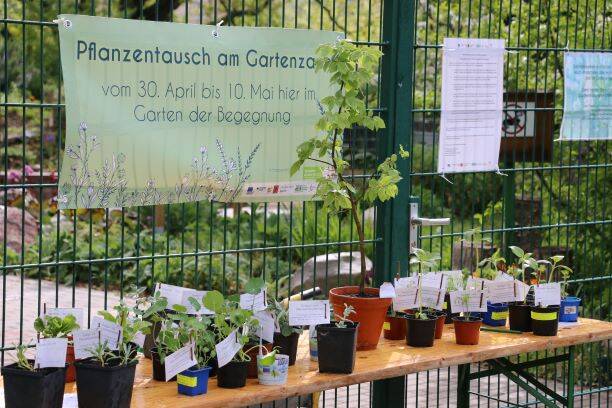 Pflanzentauschbörse am Gartenzaun