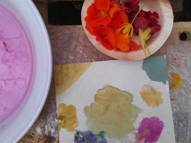 Färben mit Pflanzen - Workshop speziell für Frauen