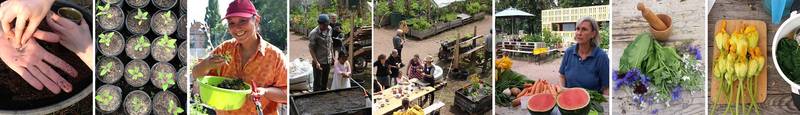 "Garten"-Kurs #3