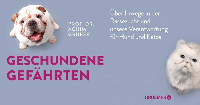 Buchpremiere "Geschundene Gefährten" Prof. Gruber