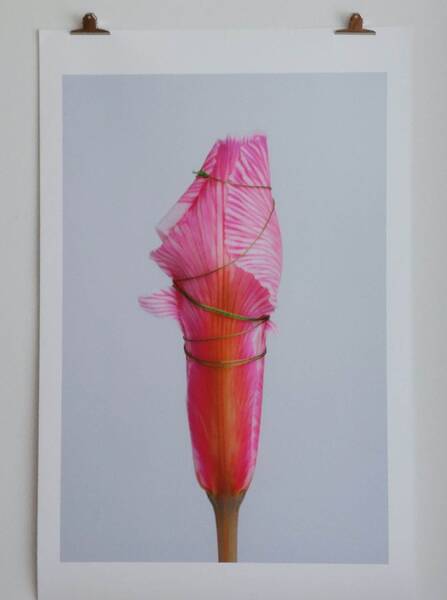 Florales Zeichnen - mit Alexine Good