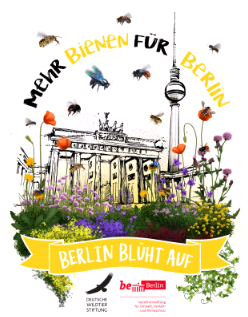 Wildbienenführung am Tegeler See