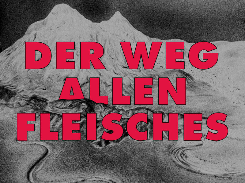 D e r W e g a l l e n F l e i s c h e s – Ausstellungseröffnung