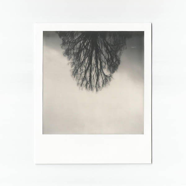 Gruppenausstellung: Verlust - Fotografie