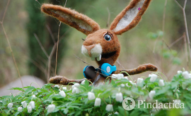Entdeckerlust in der Neuköllner Hasenheide! 