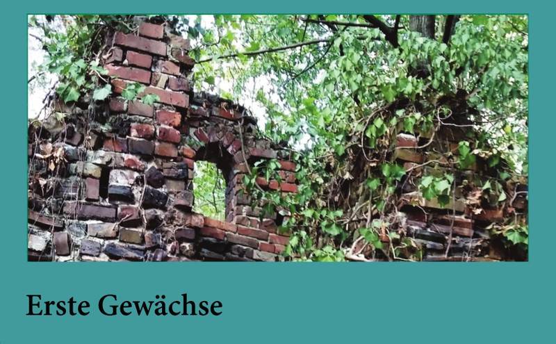 Erste Gewächse aus dem Haus der unbedachten Wörter