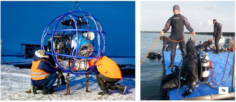 Call a Scientist. Forschungstauchen auf Helgoland. Videoverbindung zum Marinebiologen Philipp Fischer