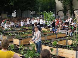 Urbane Gemeinschaftsgärten als Experimentierfeld für alternative Ernährungskonzepte: was geht … was geht nicht 