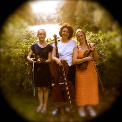 Konzert (Nordic Folk): hälm