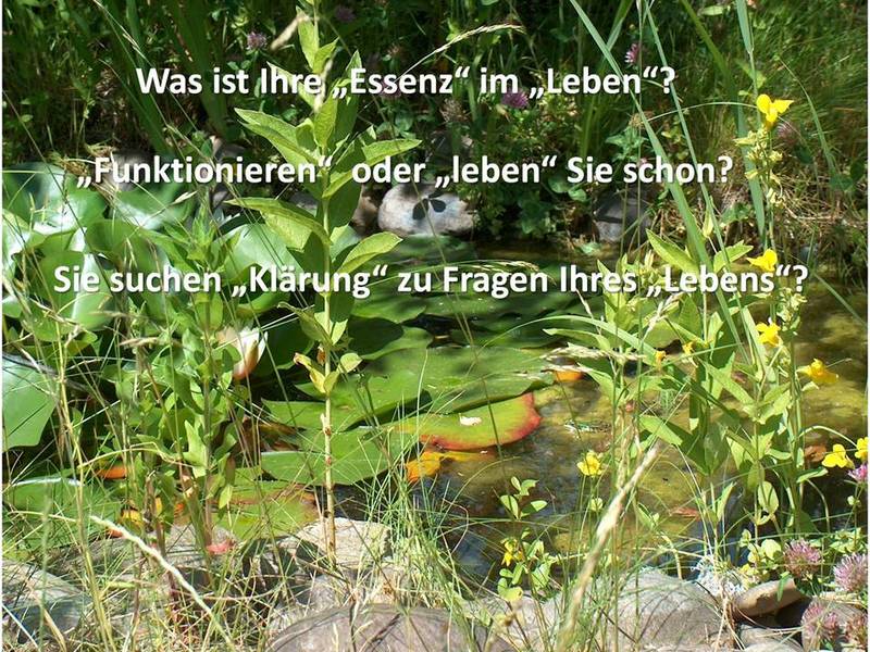 Offene Gesprächsgruppe - Schicksalsschläge und Krankheit