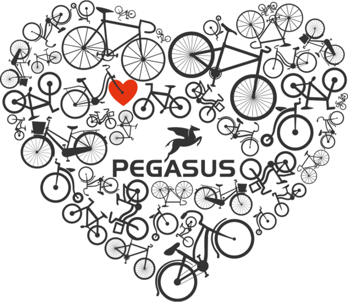 Pegasus Fahrrad Festival & Weltrordversuch mit Joey Kelly