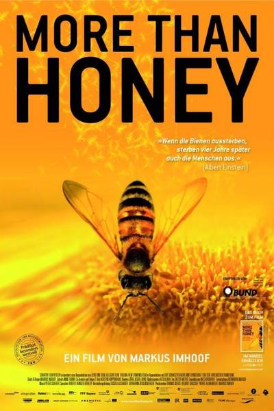 Screening: More than Honey – Bitterer Honig