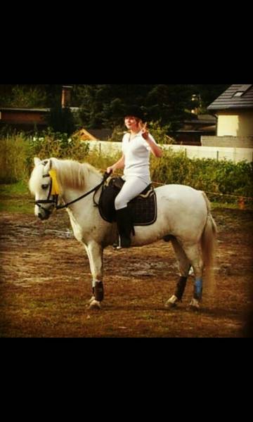 Reitturnier auf Ponyhof in Berlin-Neukölln