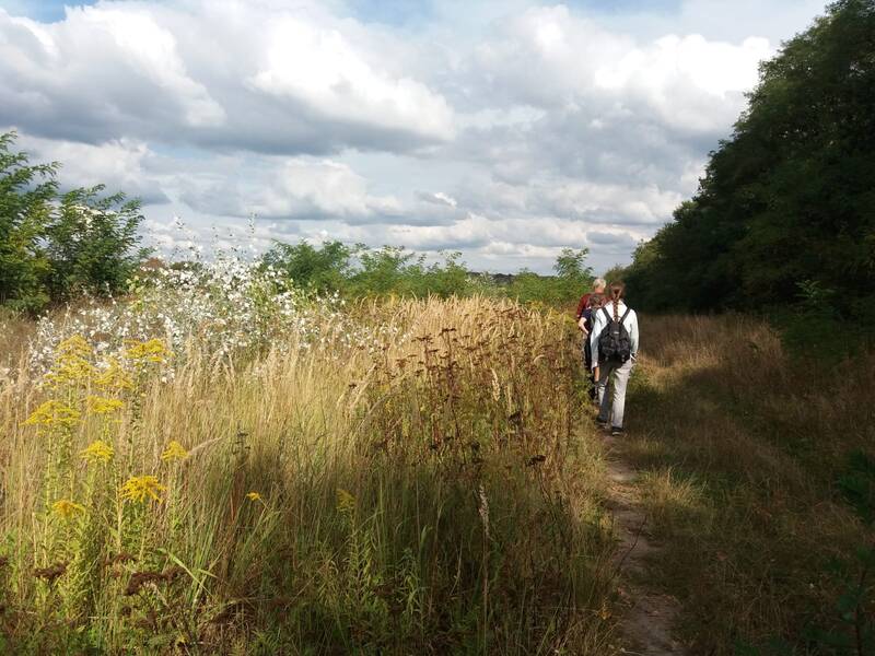 Ein Tag in der Natur