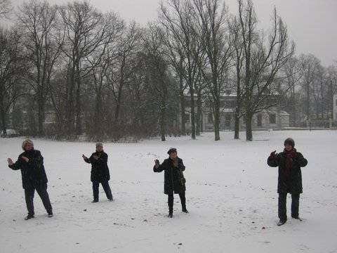 Blue Flow Tai Chi - Offenes Treffen im Park