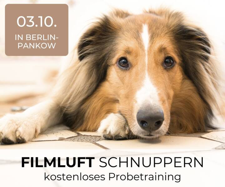 Kostenloses Schnuppertraining am Feiertag