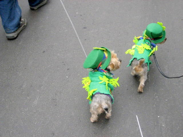 St. Patricks Day 2018: Partys, irische Pubs, Illumination, Parade