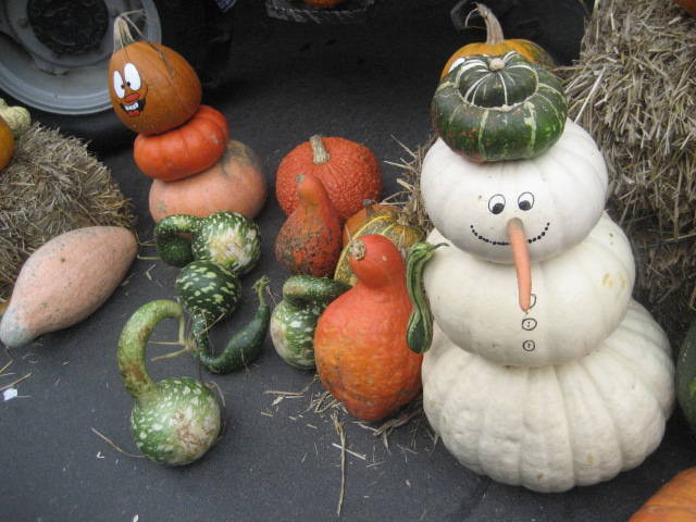 Herbst in Berlin: Feste, Veranstaltungen, Events, Tips