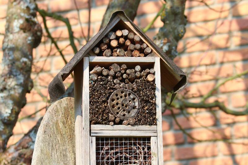 Workshop: Insektenhotels bauen