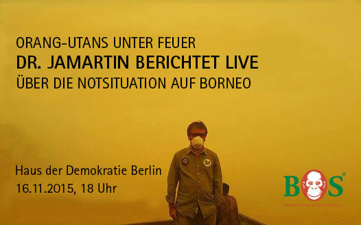 Orang-Utans unter Feuer - Dr. Jamartin bericht LIVE aus Borneo 