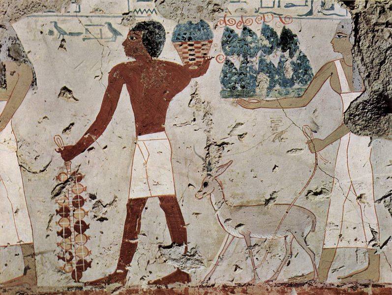 Myth, Politics, and Biography in the Ancient Egyptian Nile Valley
