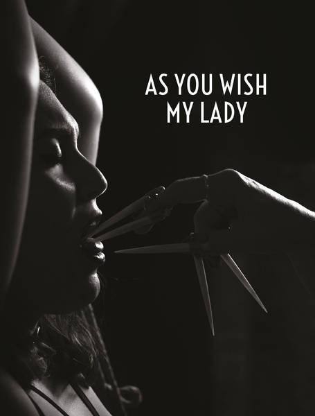 Release Party zur Premiere des Fotobuchs „As You Wish My Lady“