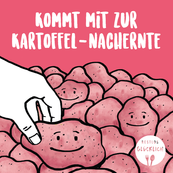 Gemeinsame Kartoffel-Nachernte in Brandenburg