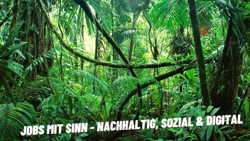 Jobs mit Sinn - nachhaltig, sozial & digital 