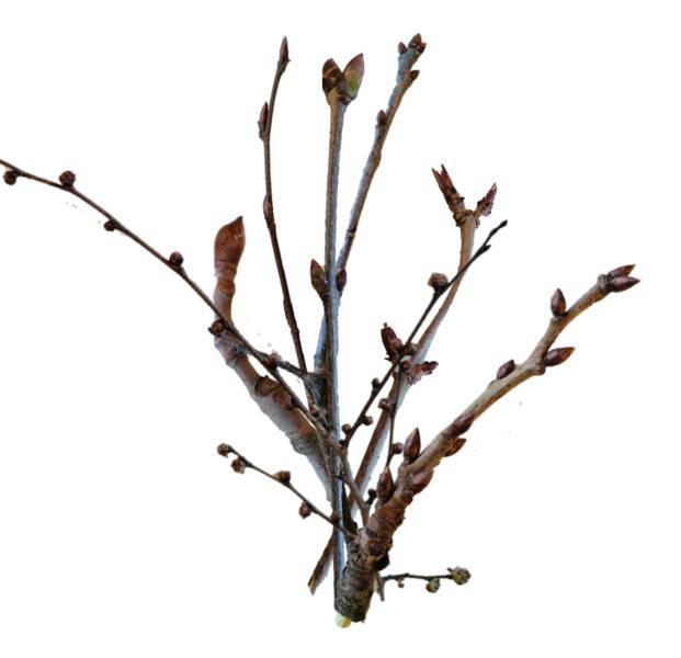 Im Winter der Natur auf der Spur