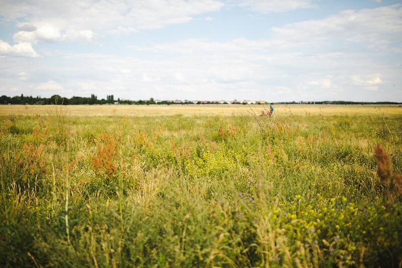Vereint in der Natur: ganzheitliche Gesundheit auf dem Tempelhofer Feld