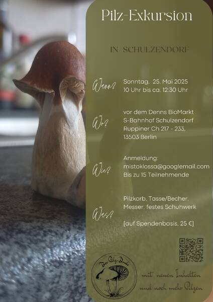Pilzwanderung, Pilzexkursion, Berlin-Schulzendorf