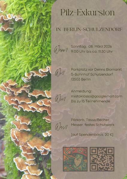 Pilzwanderung, Pilzexkursion, Berlin-Schulzendorf