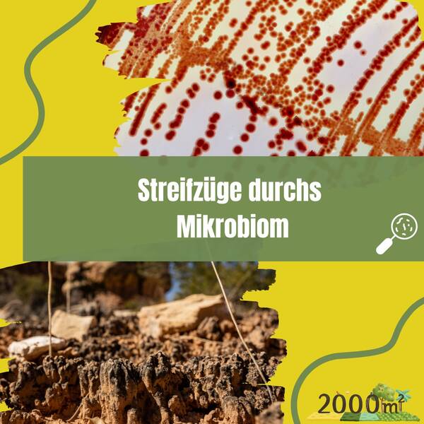 Streifzüge durchs Mikrobiom