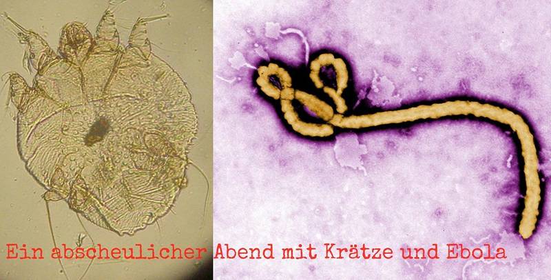 Ein abscheulicher Abend mit Krätze und Ebola