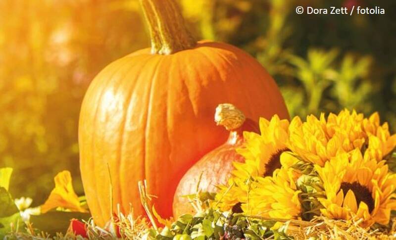 Handwerkerfest zum Erntedank in Hennigsdorf