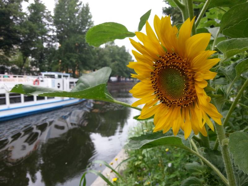 Info-Veranstaltung + Bildband Landwehrkanal Dokumentation kostenlos