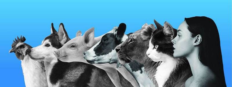 Workshop Animal Rights 101 Liberation Berlin