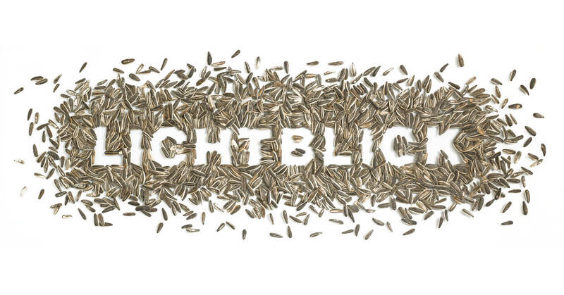 Lichtblick • Muted Video Exhibition