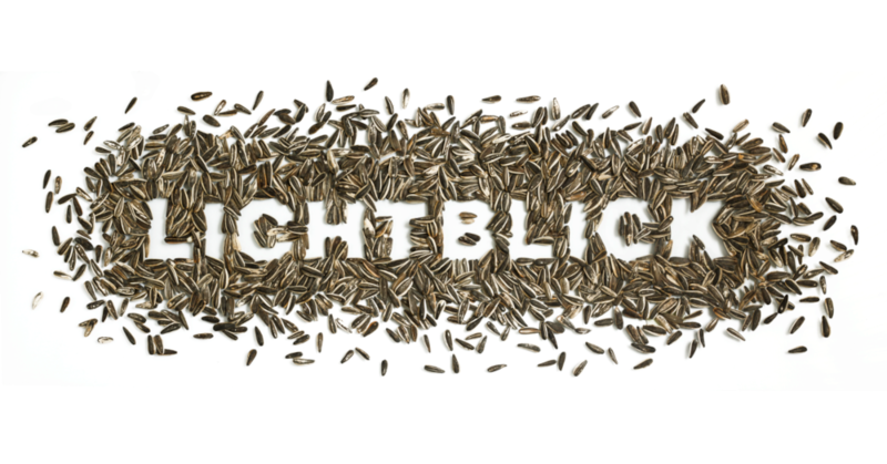 Lichtblick • Muted Video Exhibition