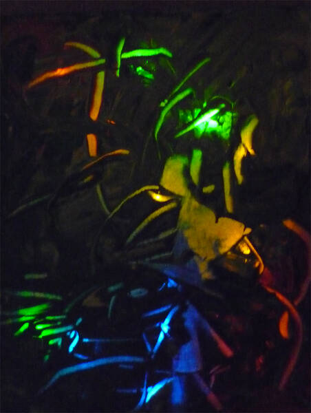Workshop Lightpainting