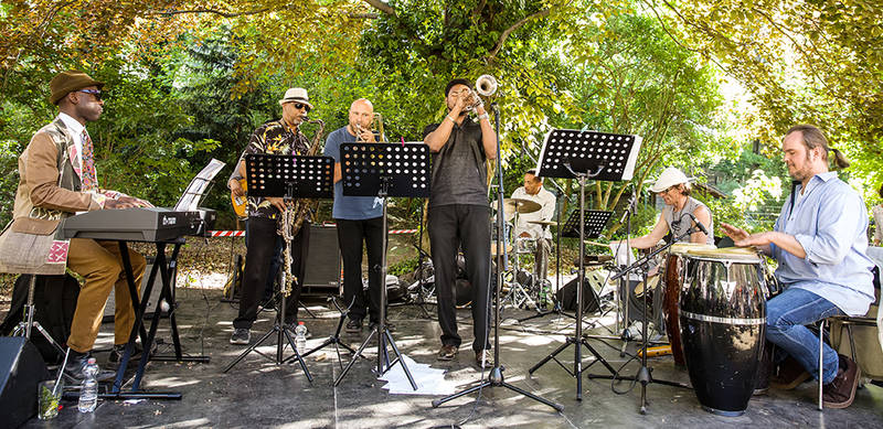 HOMMAGE SESSION: Little Big Band spielt "Brazilian Romance" von Sarah Vaughan