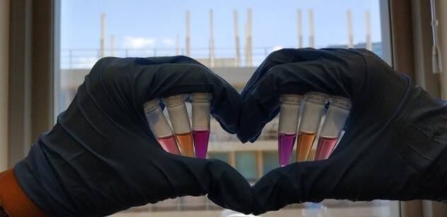 How proteins help us see light – Workshop auf Englisch für Kinder ab 10 Jahren