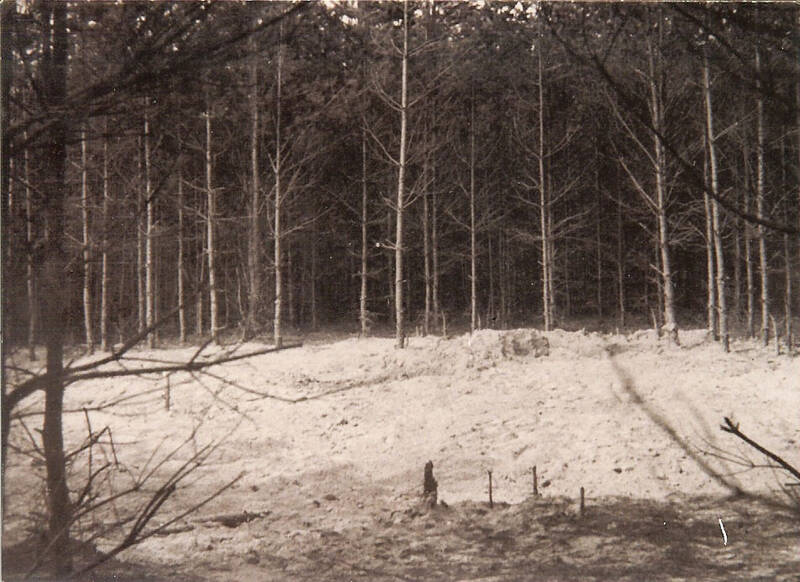 Schürfplätze – Grabraub in Bełżec und Sobibór