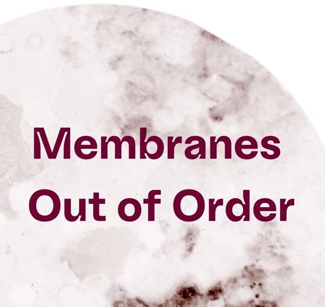 Membranes Out Of Order (Vorstellung Ausstellungskatalog)
