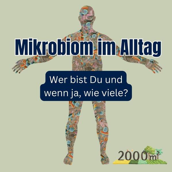Mikrobiom im Alltag – Wer bist Du und wenn ja, wie viele?