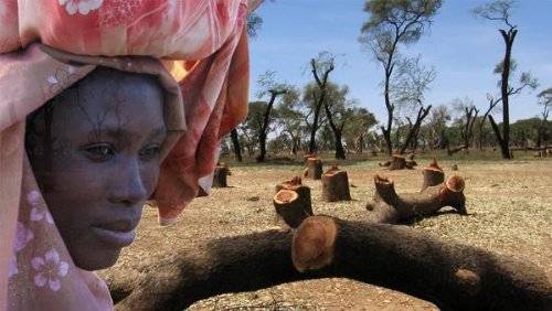 Sudan: Bürgerkrieg in Darfur