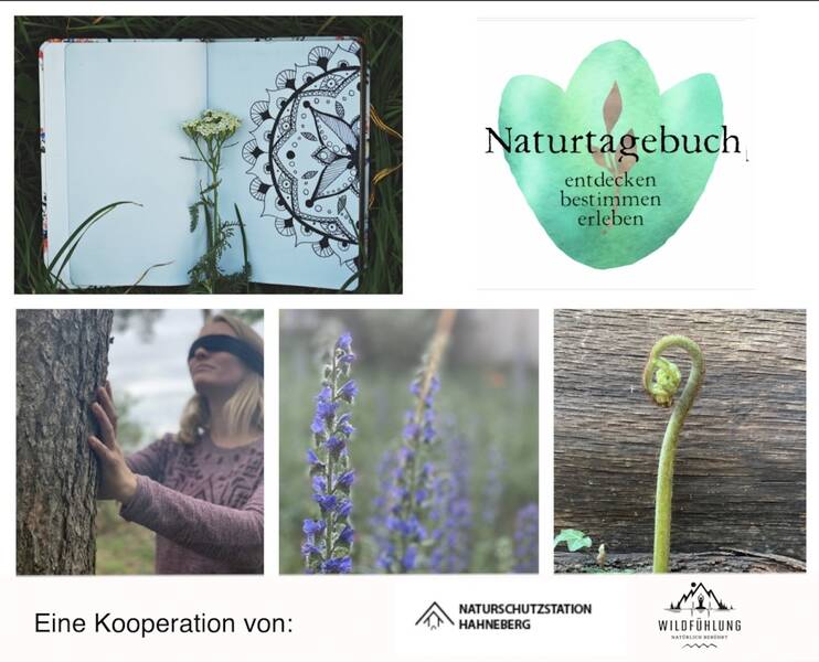 Workshop Nature Journaling