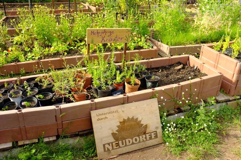 Neudorff-Kinderworkshop: Fritz, die Florfliege und andere Nützlinge
