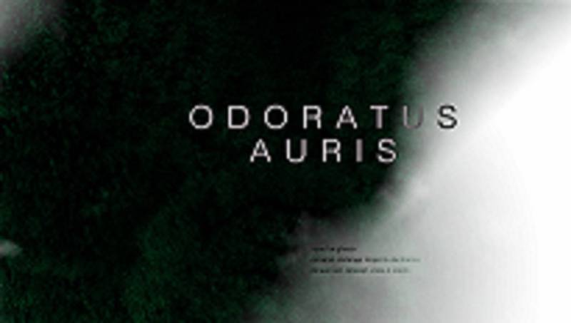 Odoratus Auris